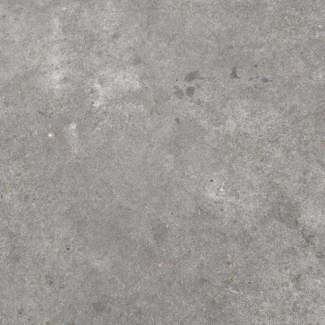 萌芽
