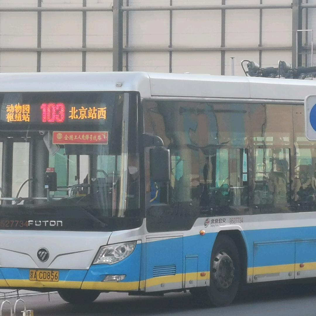 老约爱安东
