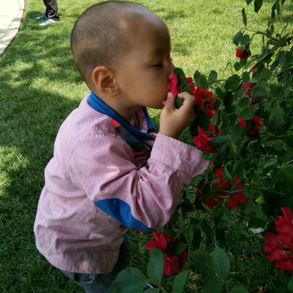 微风十里