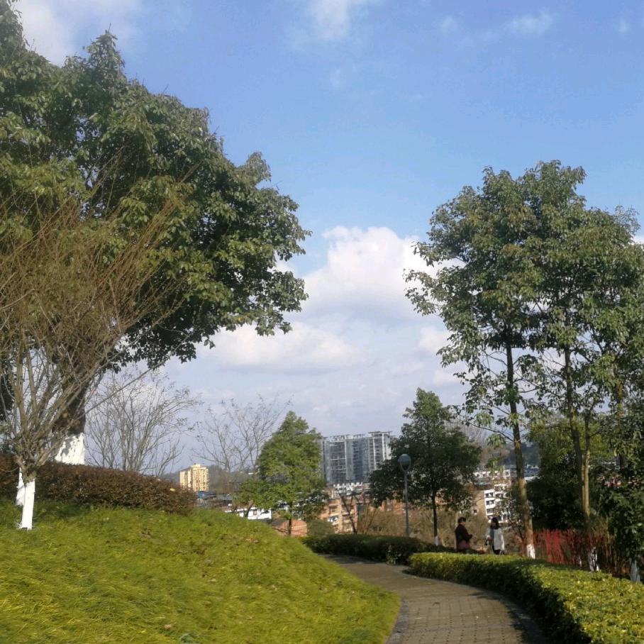 阿拉斯加