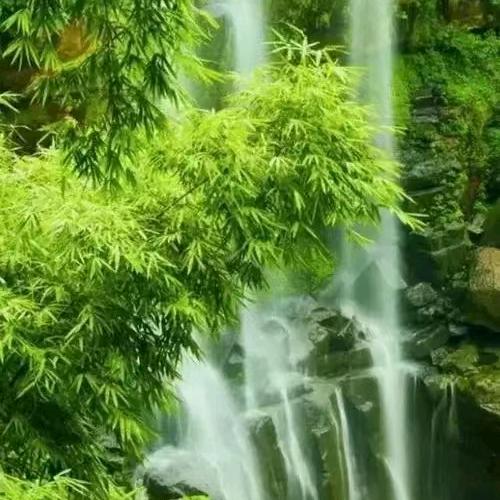大爰至简
