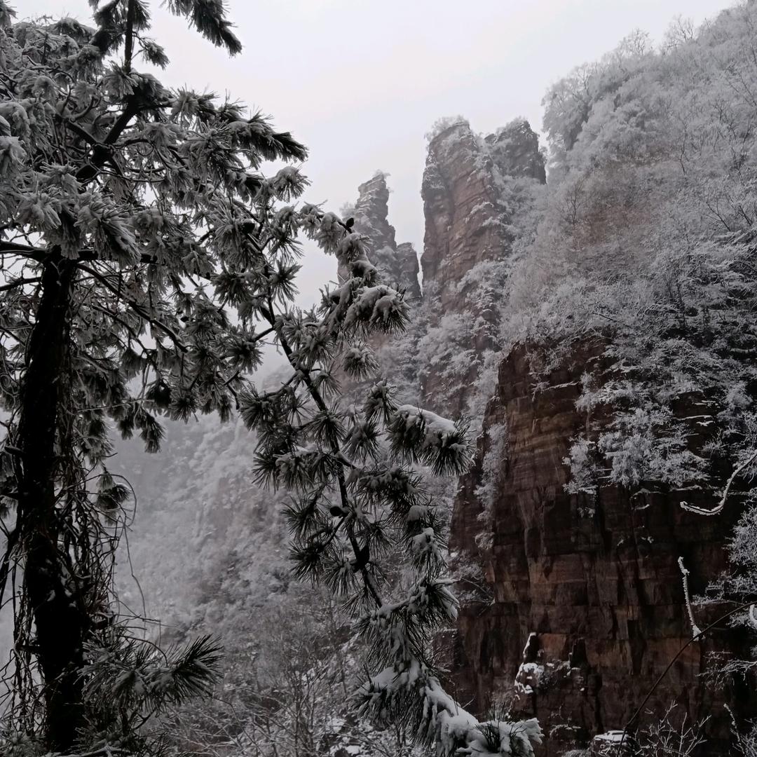 勇往直前李文波