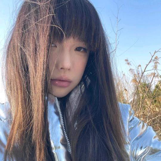 肖不动