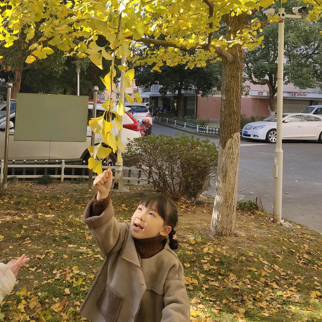 小蕃茄