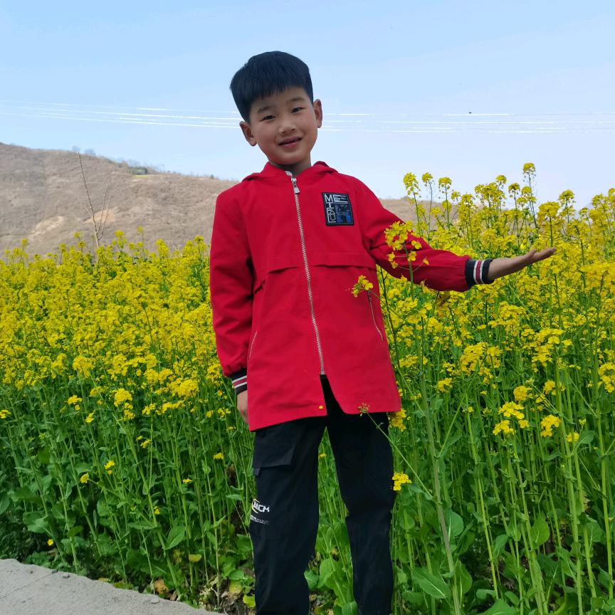 快乐少年成长记