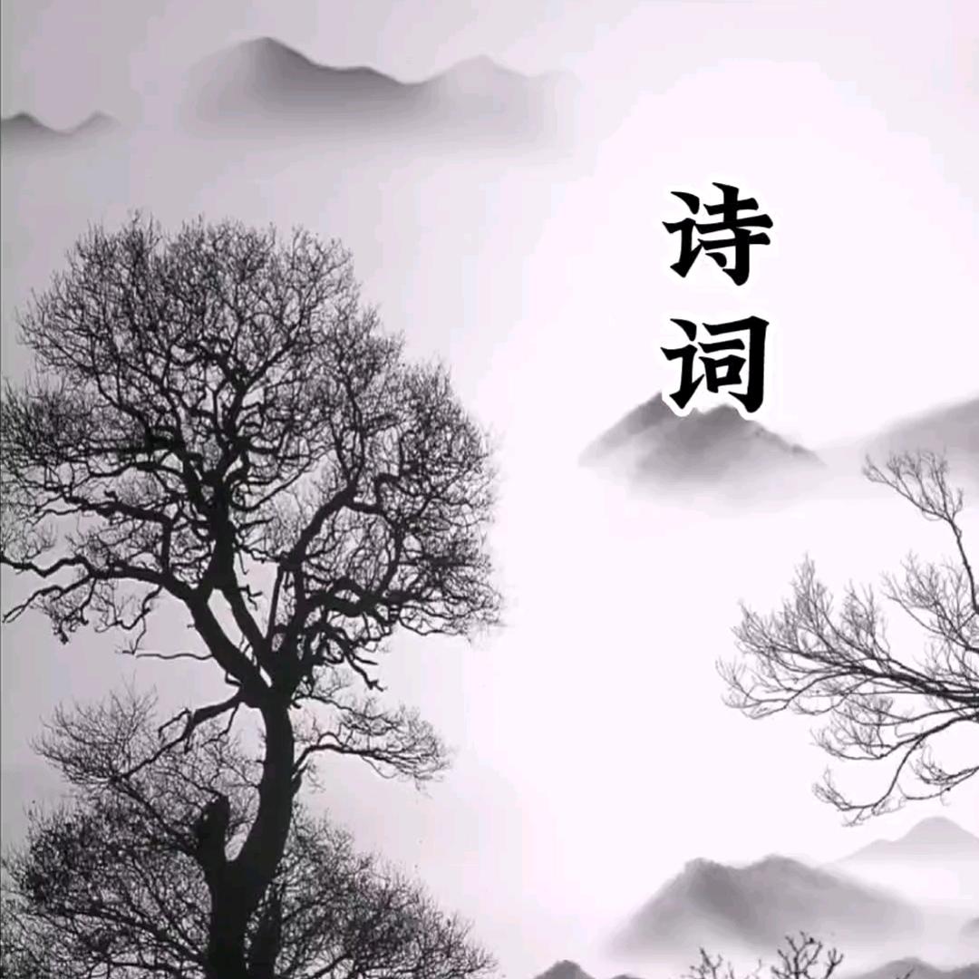 诗词