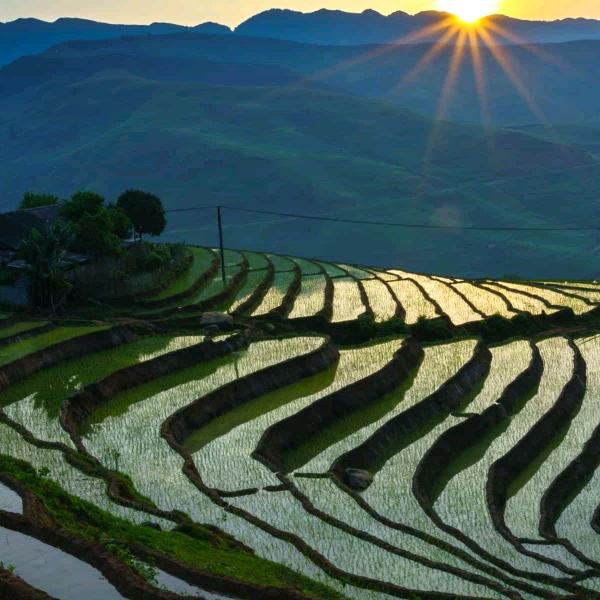 洪爷