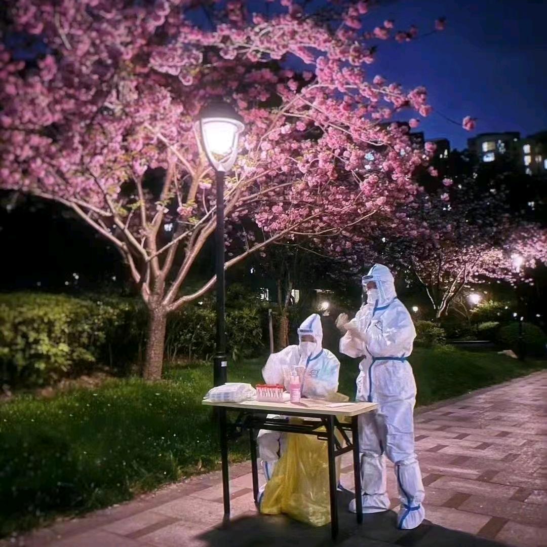 空城凉梦风轻眠