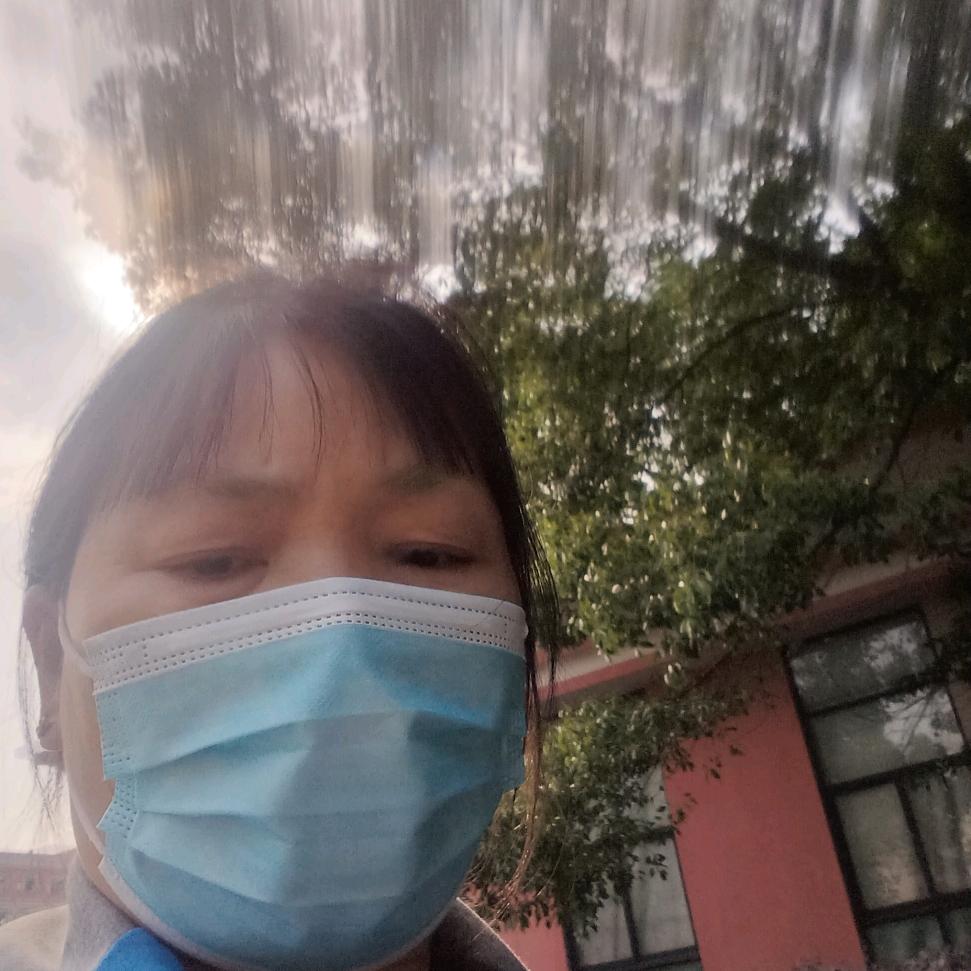 周凤菊