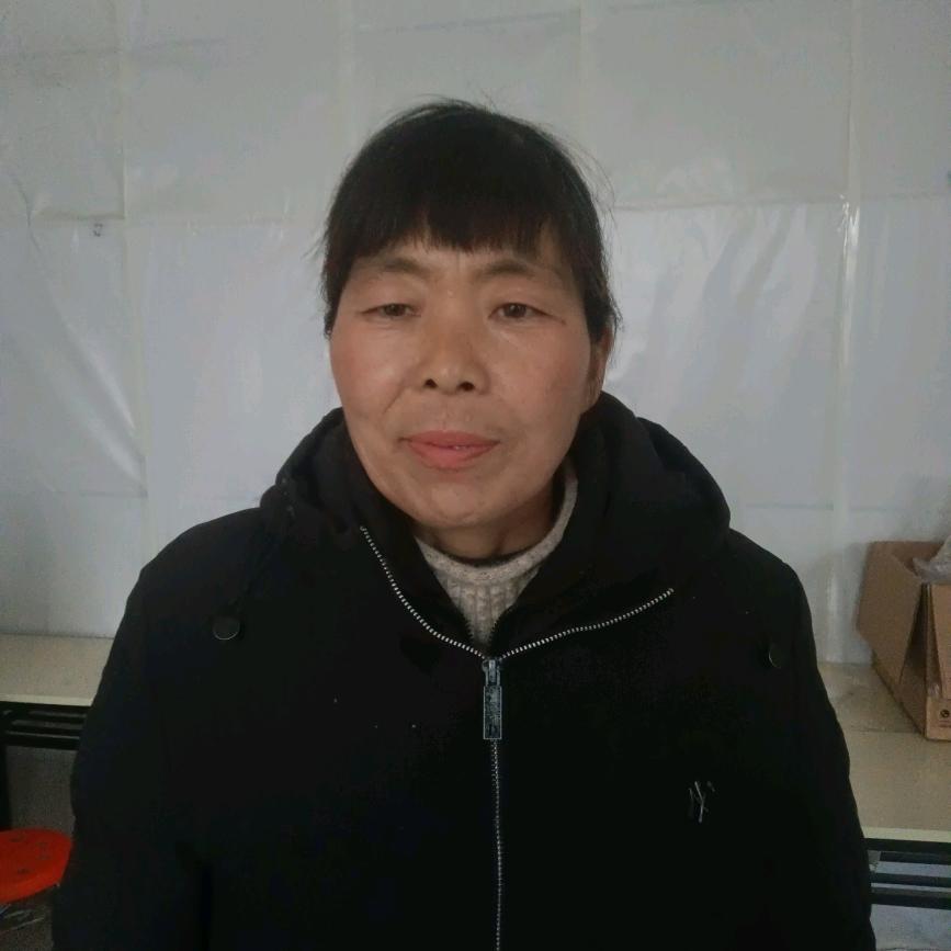 农村平姐