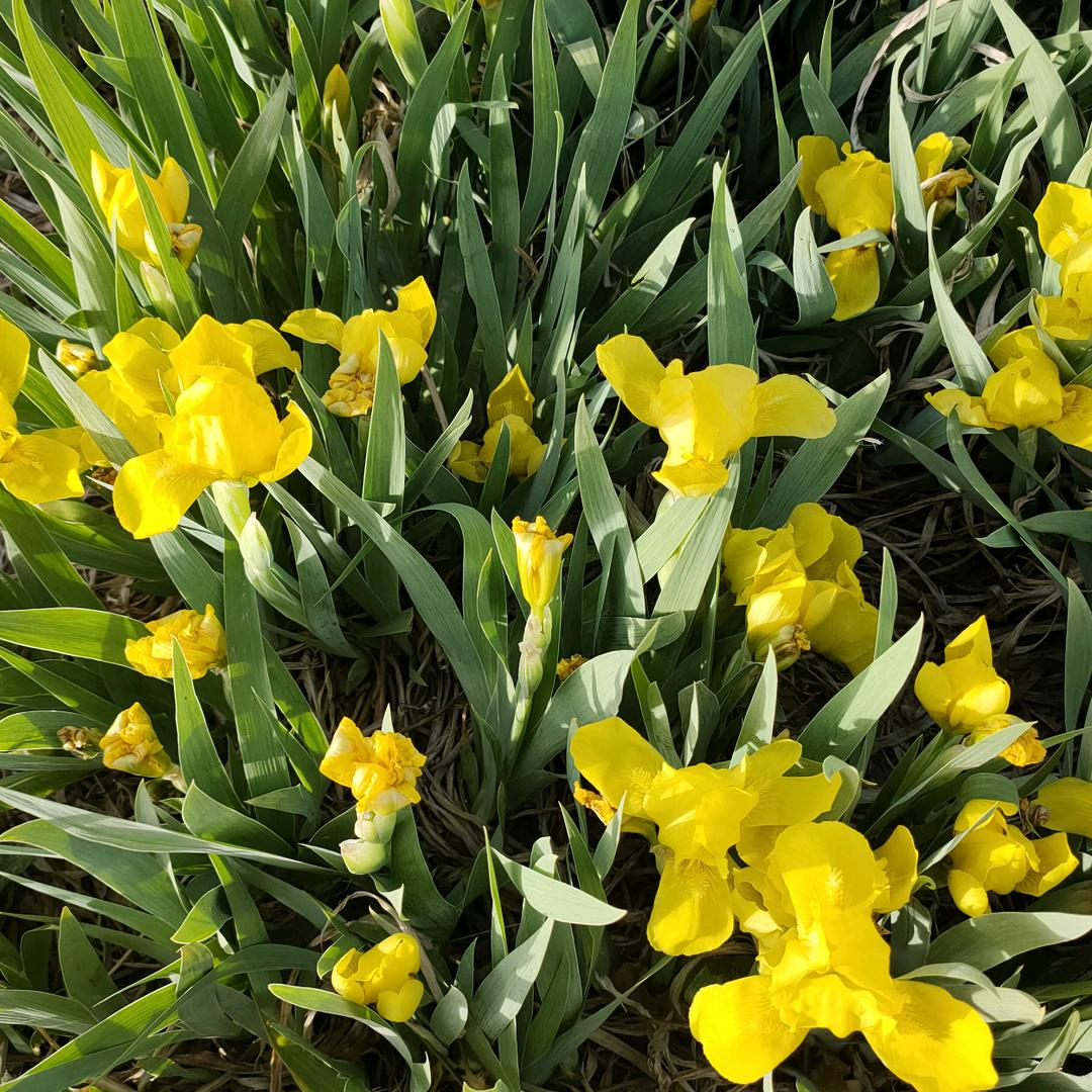 @对方是你大表姐