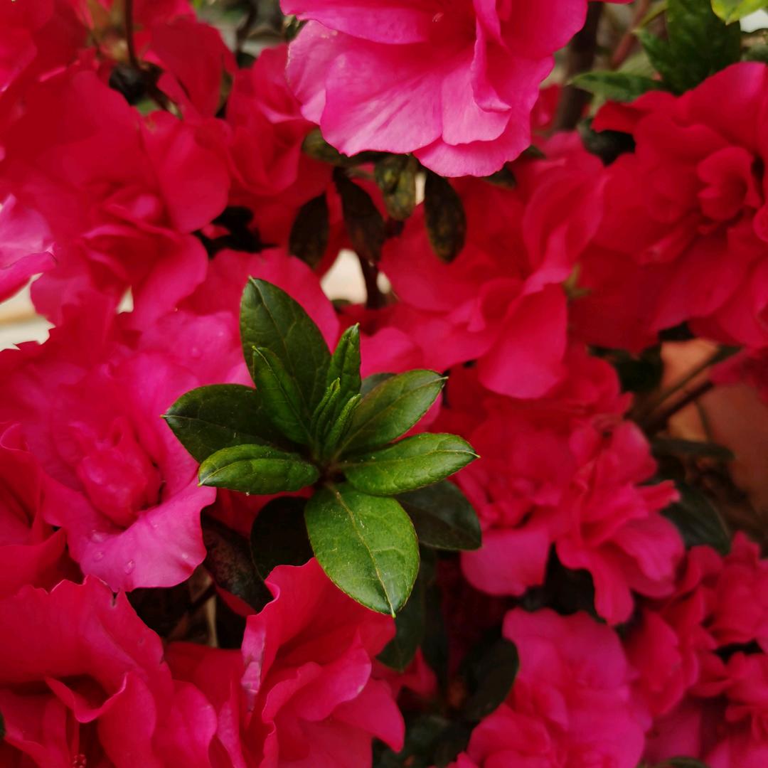 💞꧔ꦿᩚ笑着᭄遗꯭忘໌້ᮨꦿ࿐