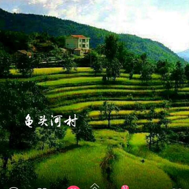 往后余生
