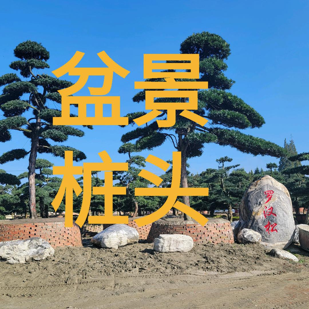 温江桩头盆景景观庭院（安格斯）