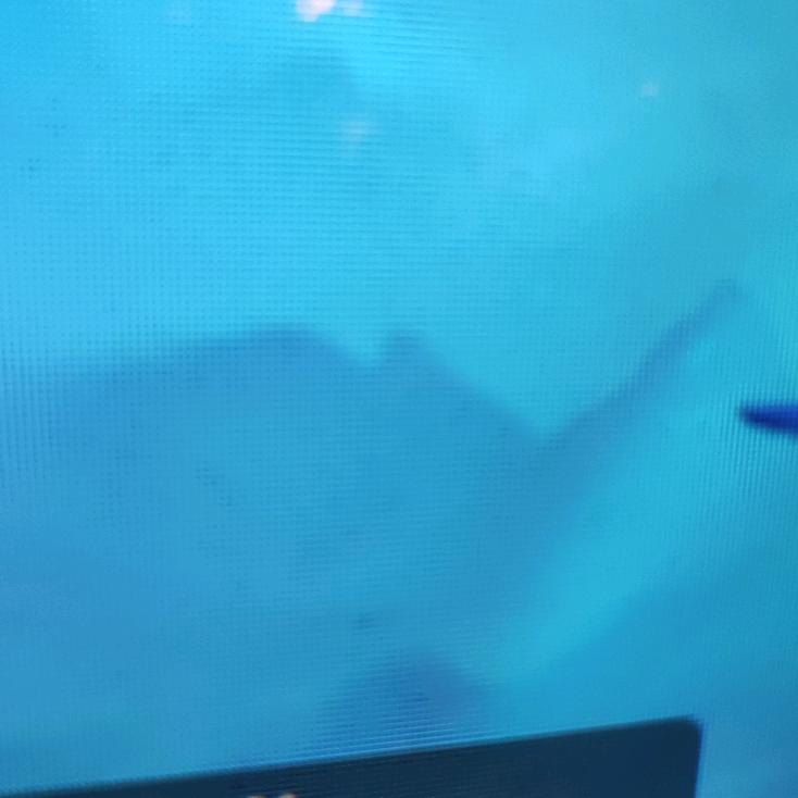 风暴龙