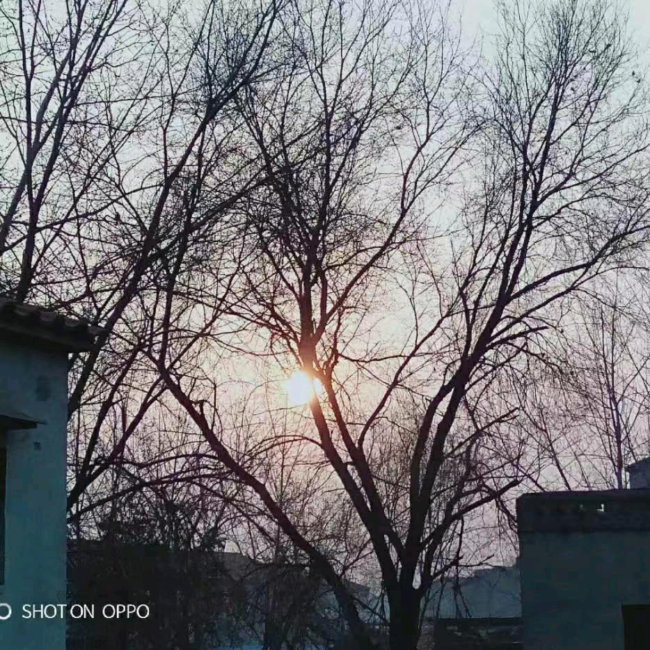 契阔谈讌，心念旧恩