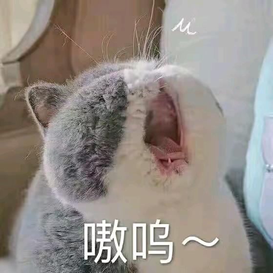 🌈绿豆粥
