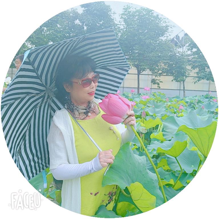 🌹🌺晓丽