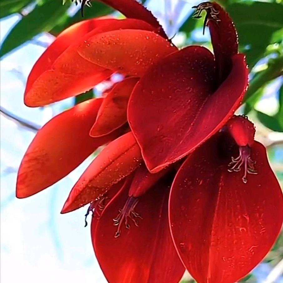 韩梅🍒