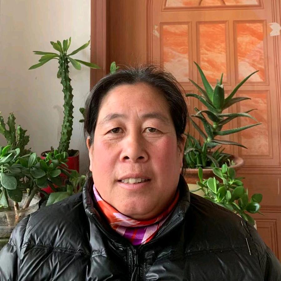 常年收小麦玉米