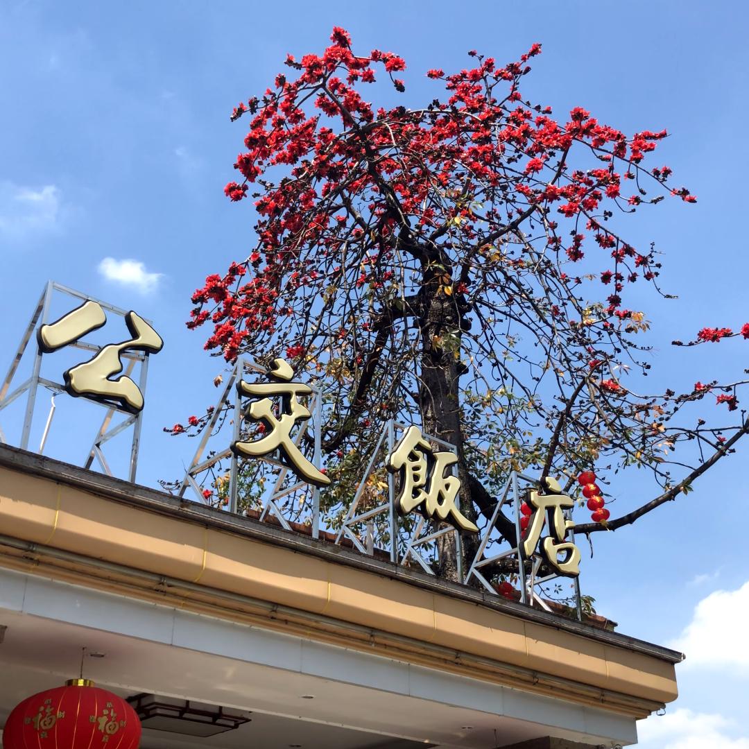 寻味顺德公交饭店