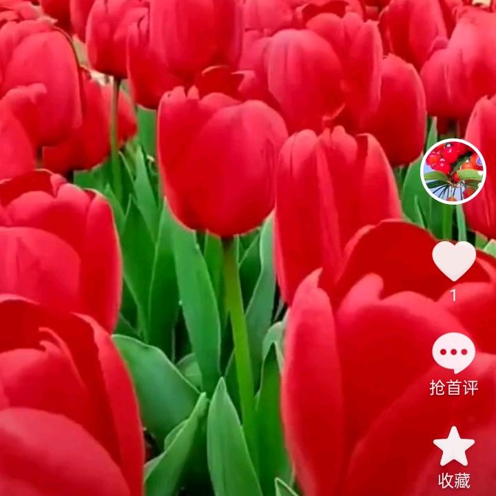 傅俊