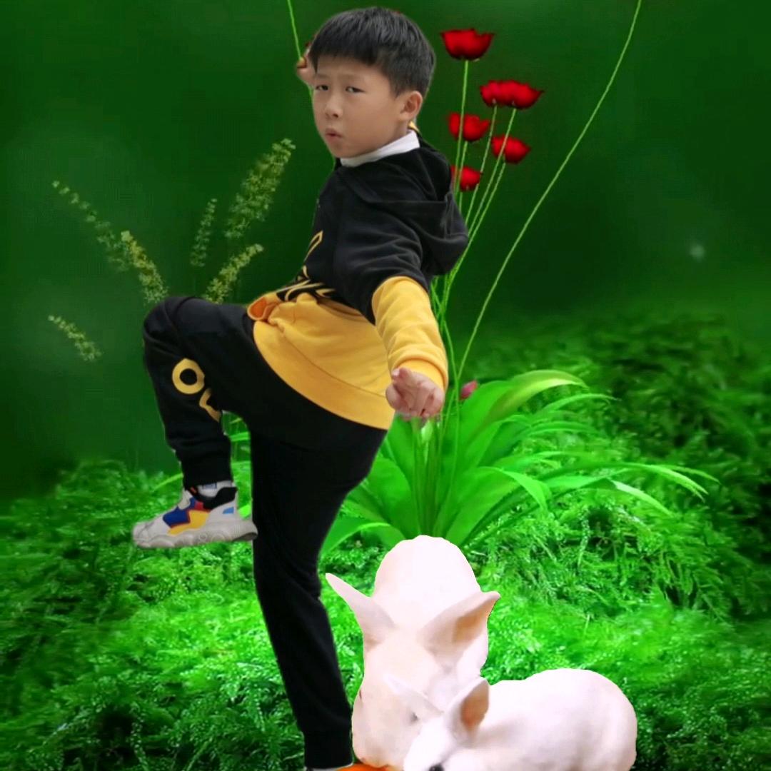 2025健康平安