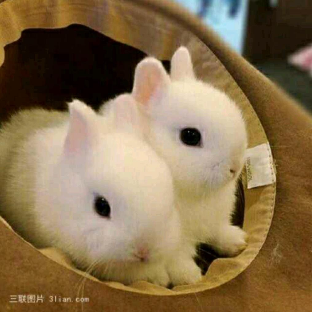 君落芳华