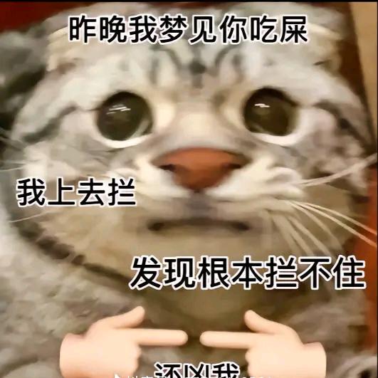 行不行哦！