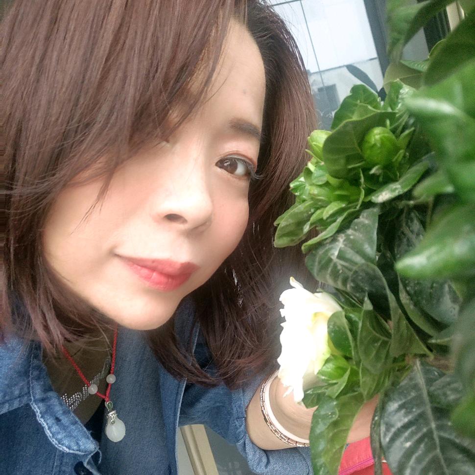 梅雨芳菲