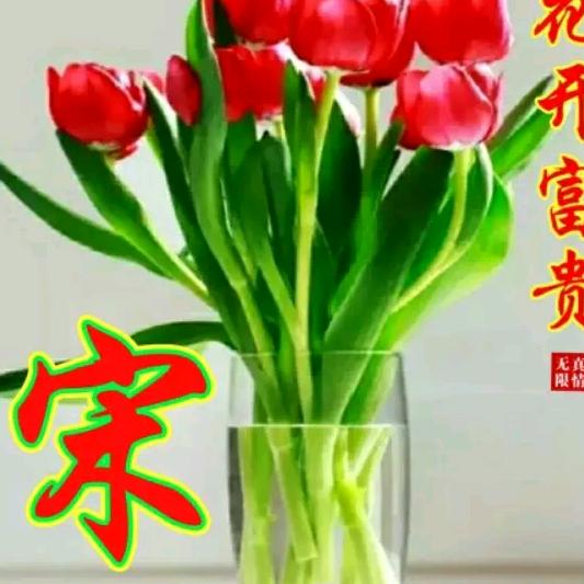 用户1035015589038