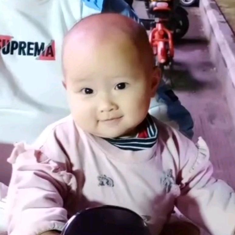 福鼎小朱正宗瘦肉丸