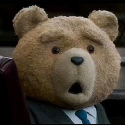 想演战狼的新兵泰迪熊