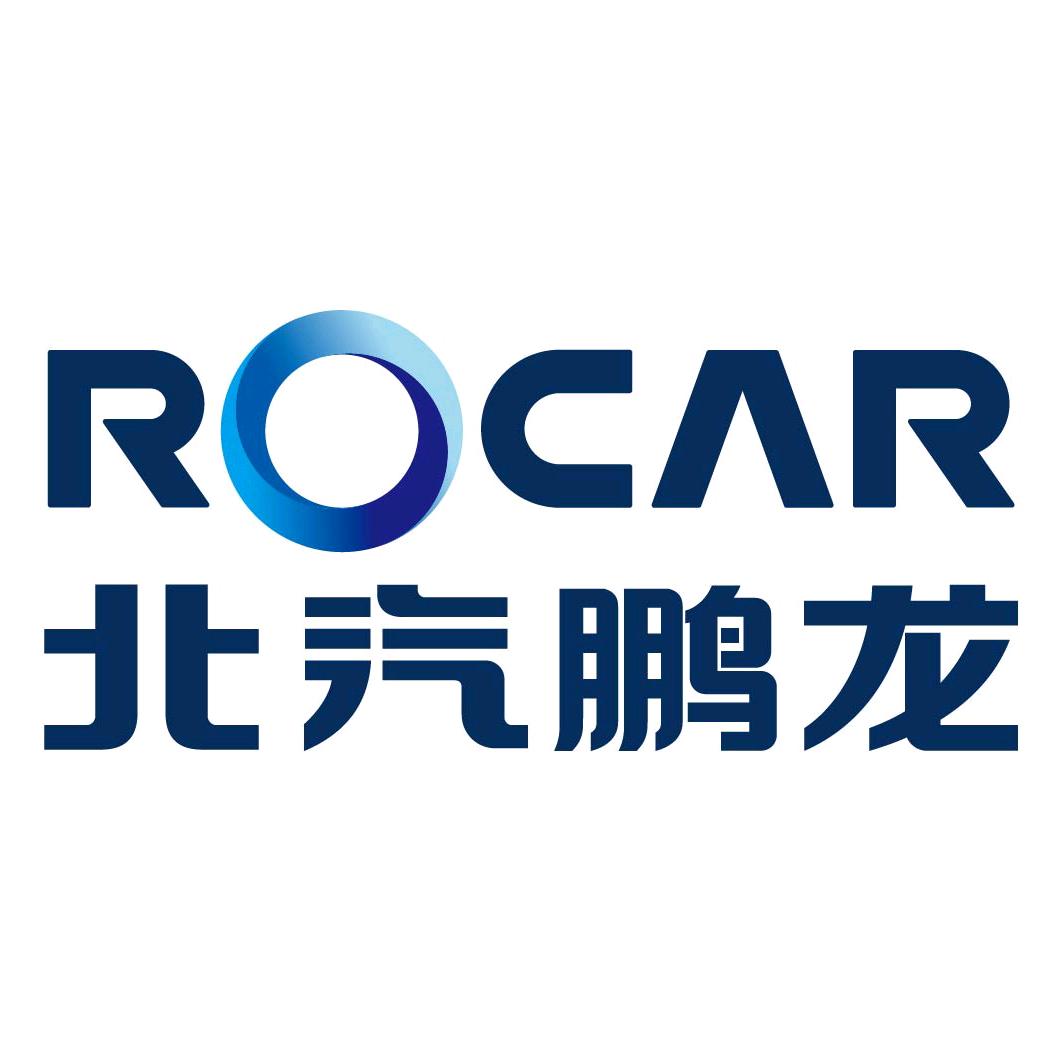 鹏龙拍卖