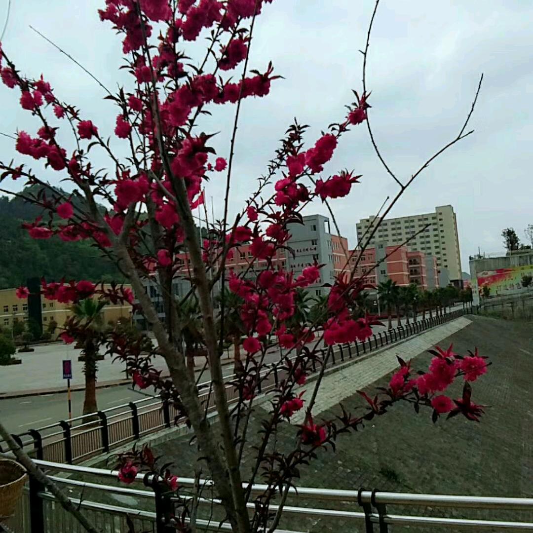 成功靠自己