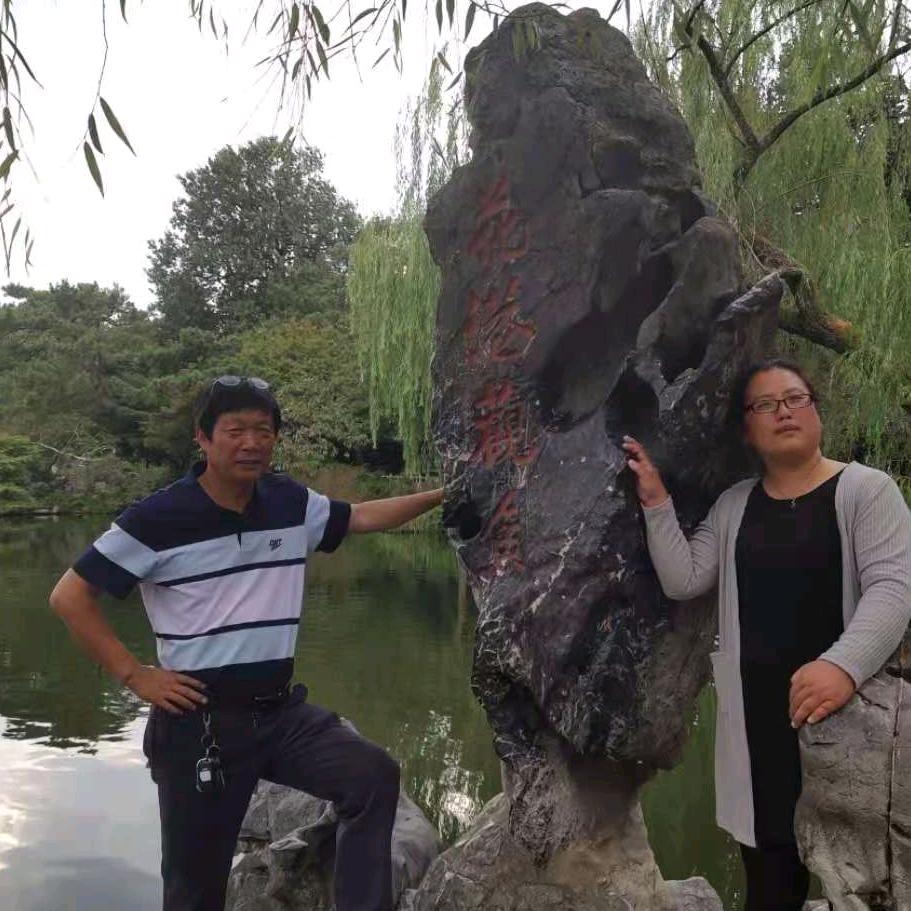 杨向波