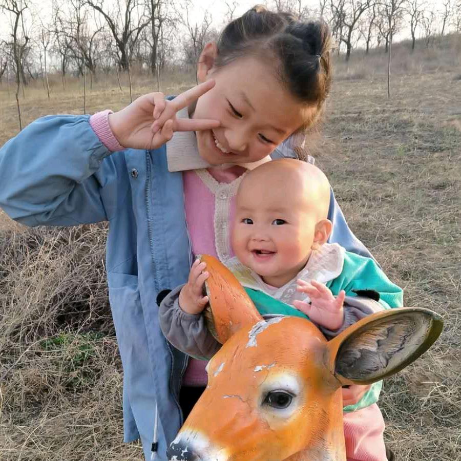 放荡不羁123🦁