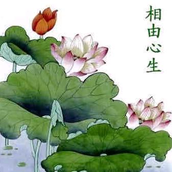 用户6857445709210空谷幽兰头像