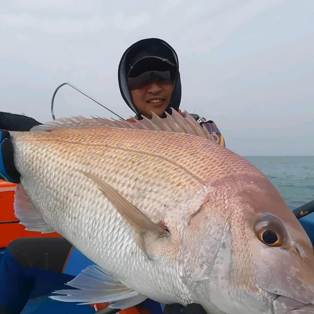 海啸渔饵