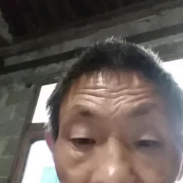唐立新我是打工仔