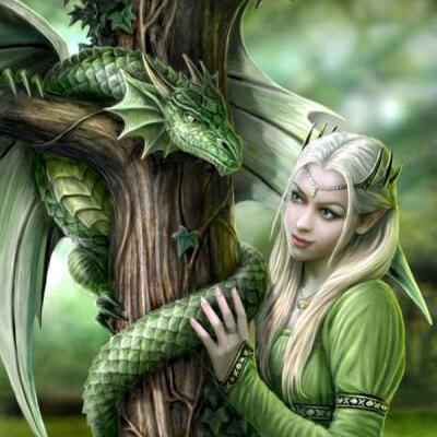 龍飞飞（关必回）