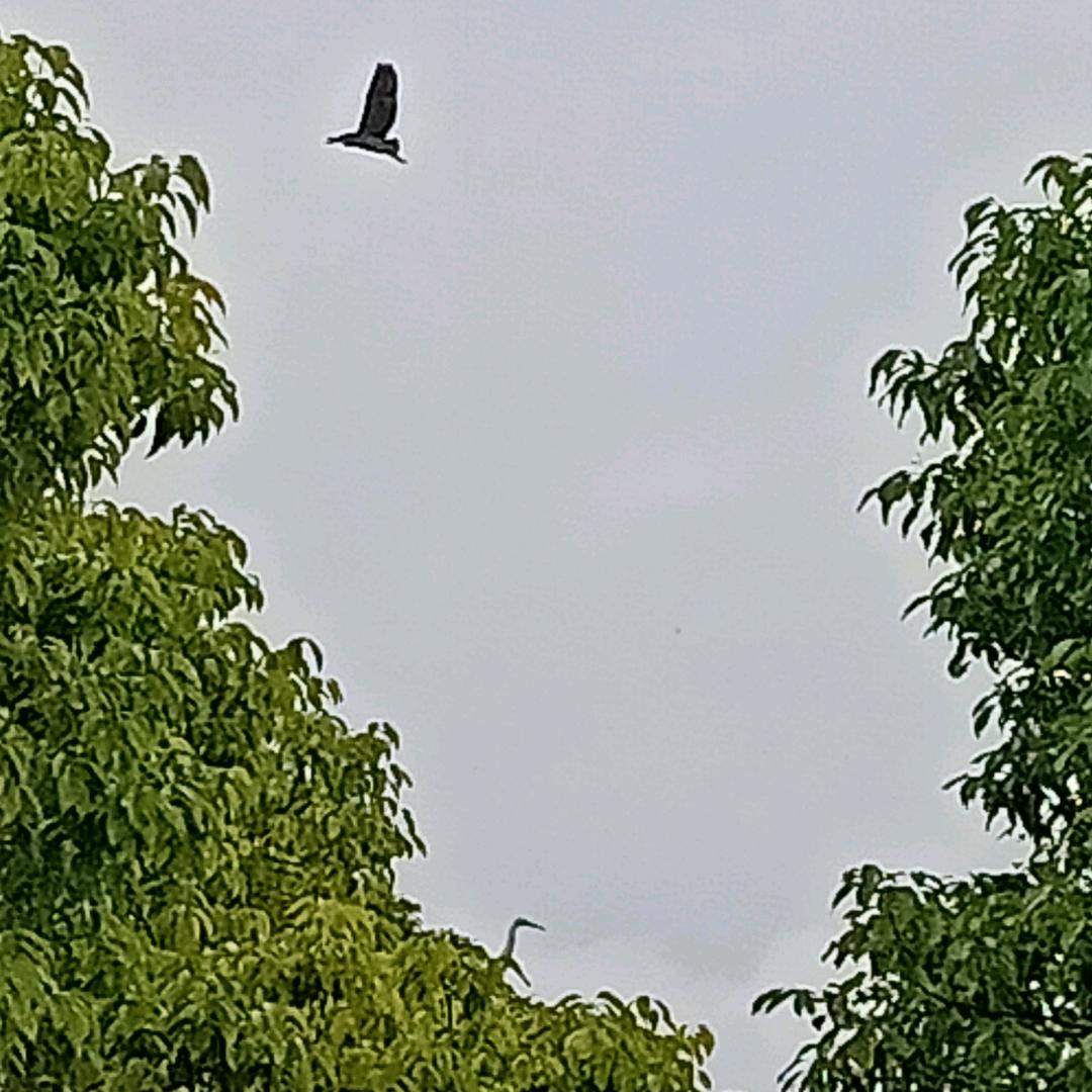 吃瓜群众《001号》