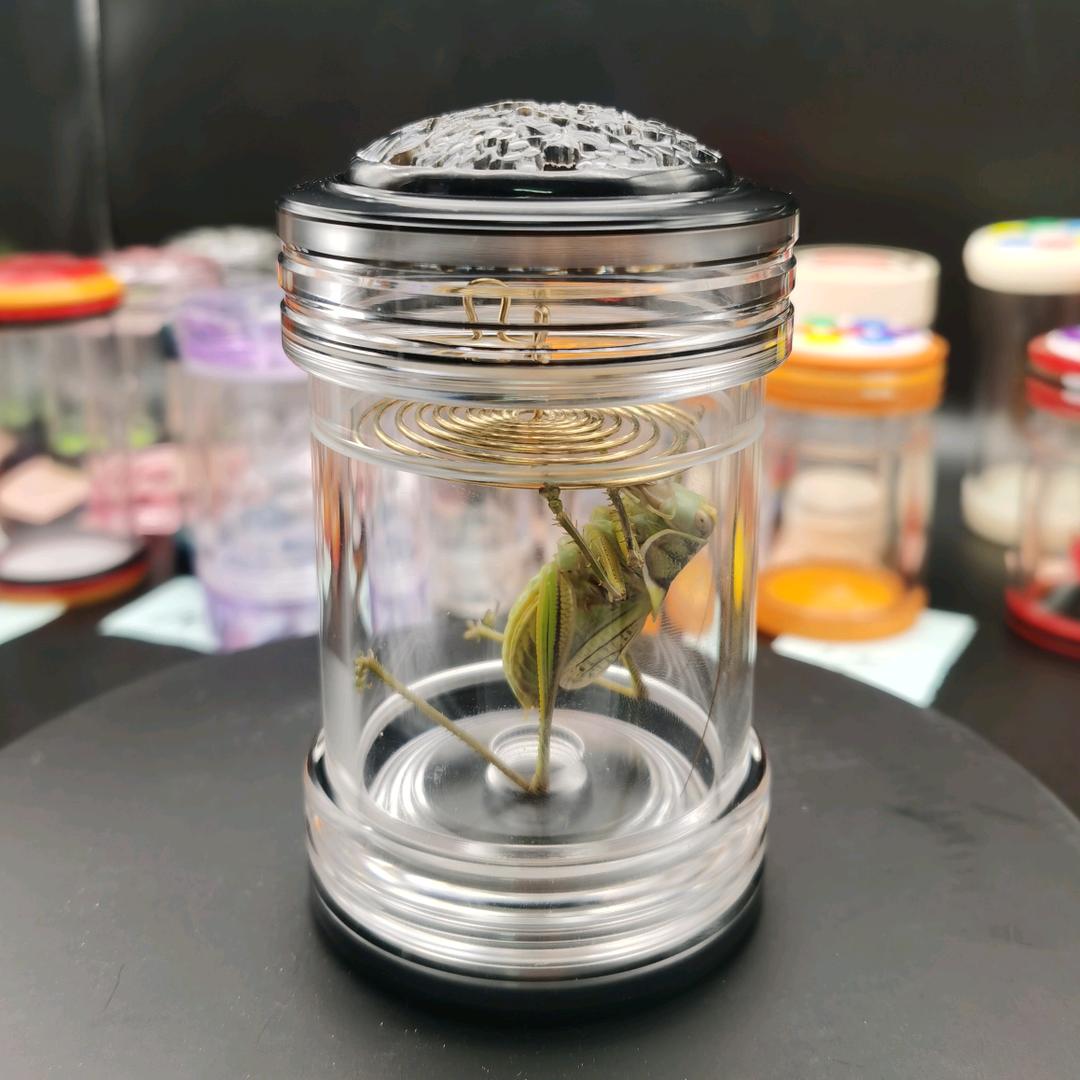 小鑫鸣虫虫具
