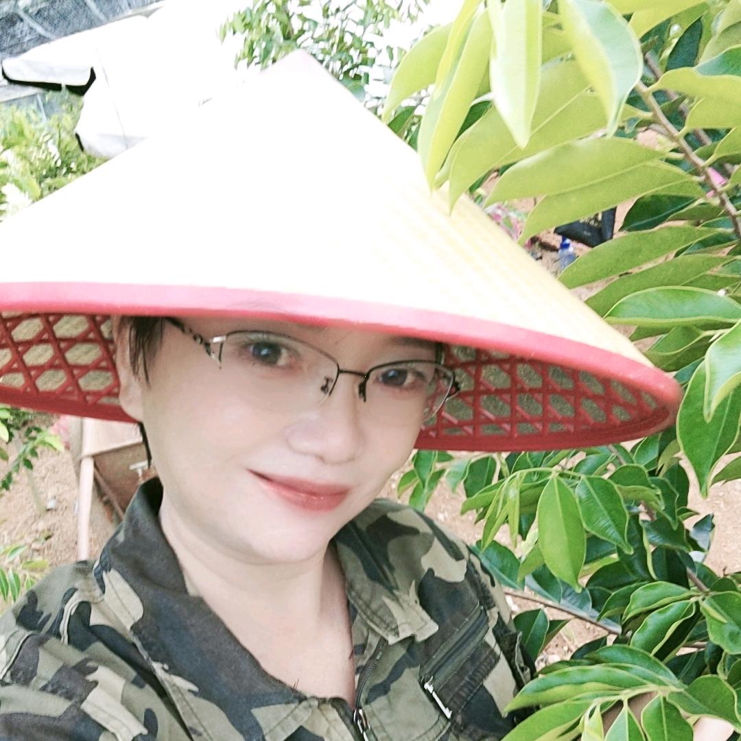 白沙奇楠沉香种植专业合作社