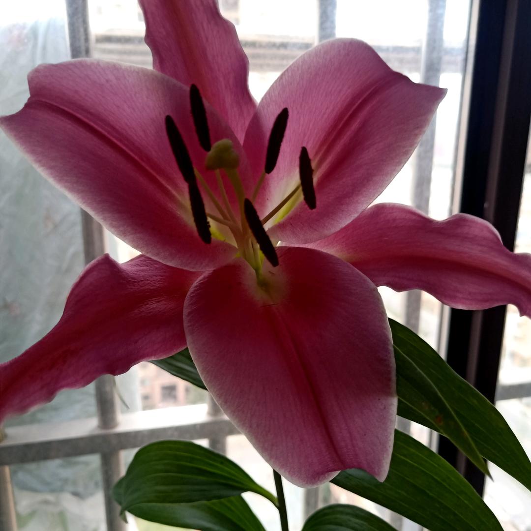 那丶也只好是你啦