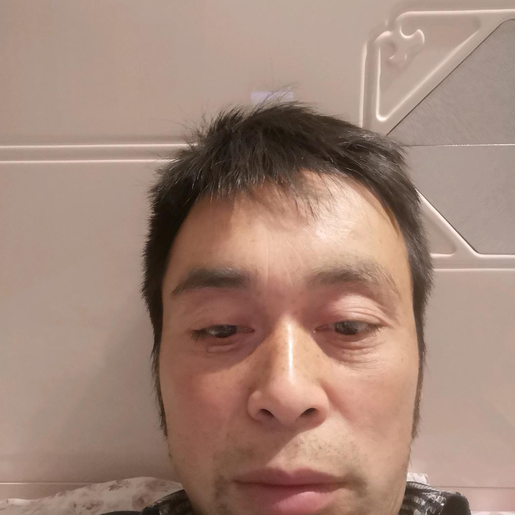 一帆风顺叶