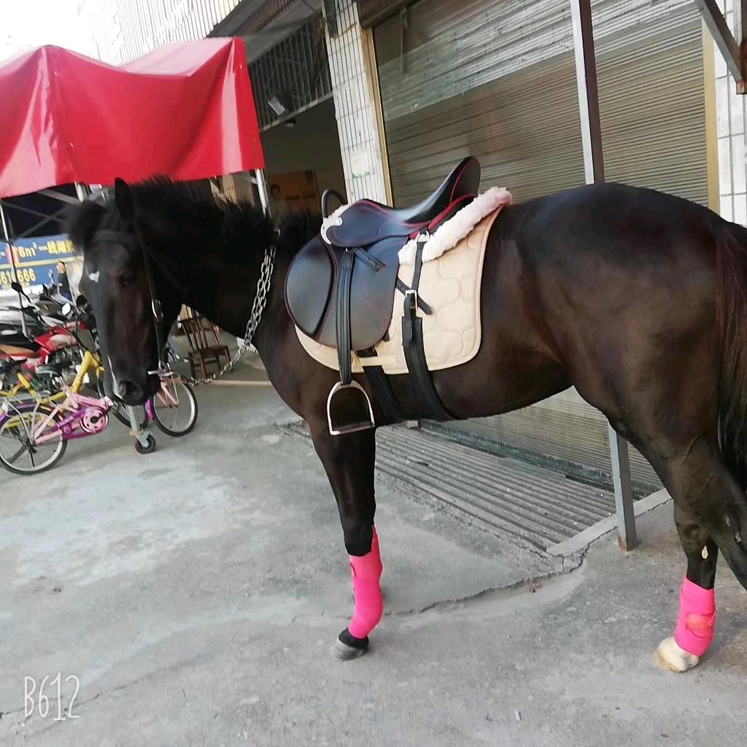 一介马夫
