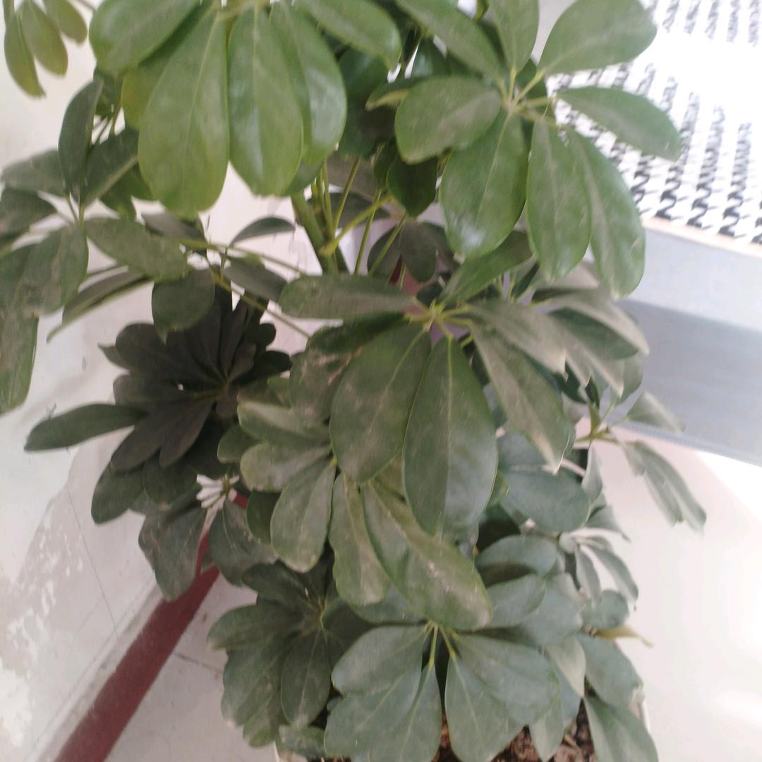 真诚相待禹城才哥🇨🇳🇨🇳