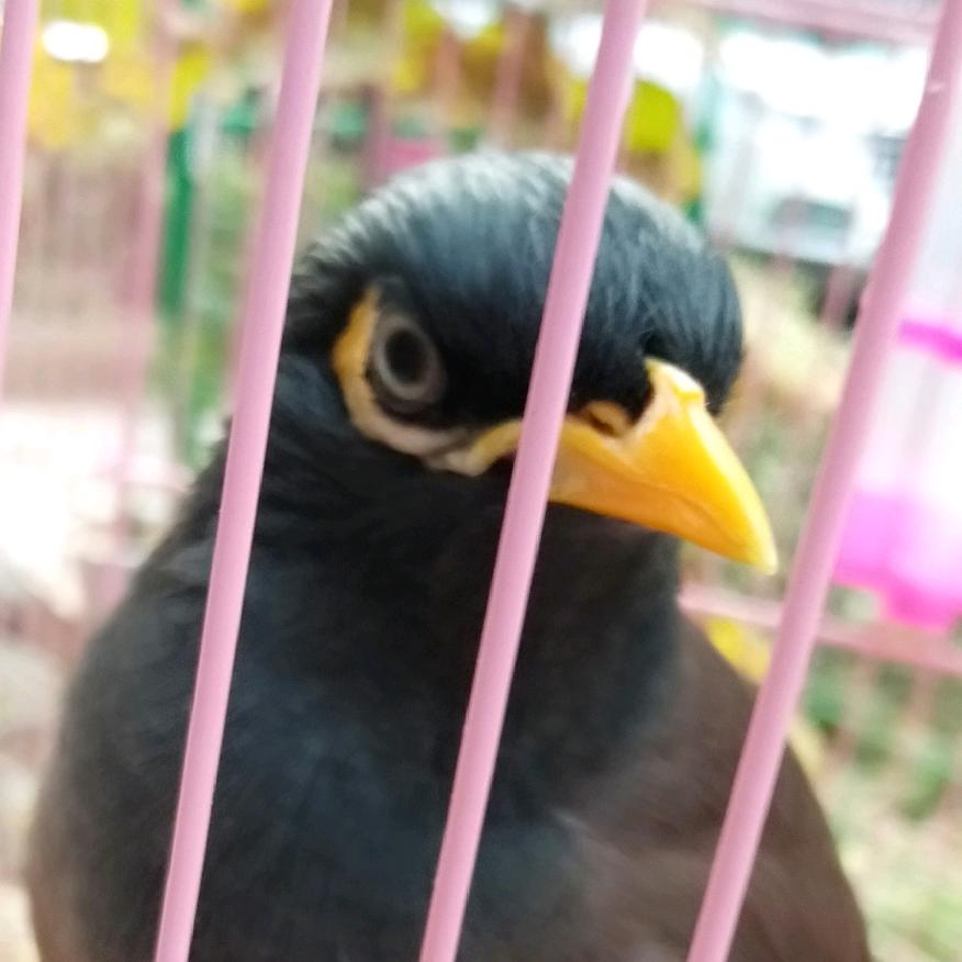 🌻🌲🌾明天会更好🌴🌴🌴