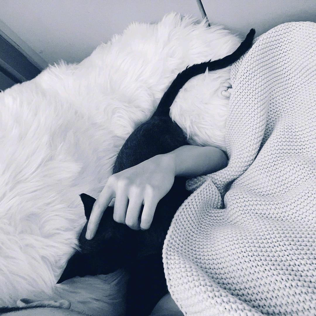 好吃鱼